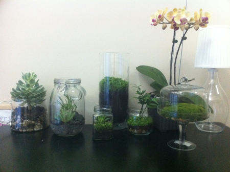 leafy_terrariums_1